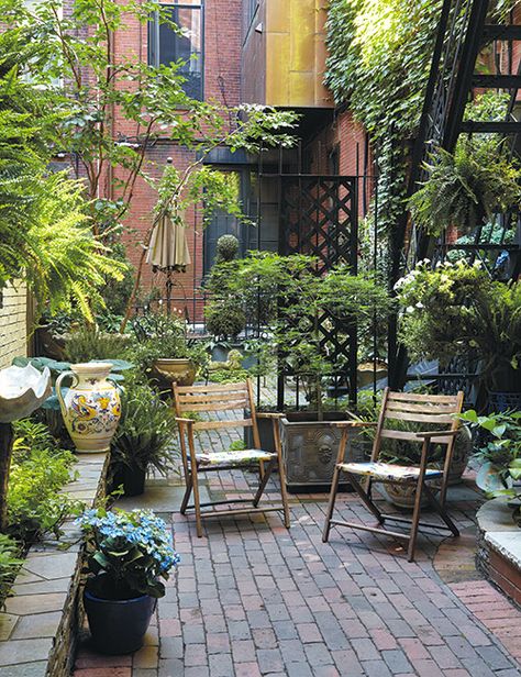 Just because you have a small space, doesn't mean you can't pack it full of plants! See how this gardener made the most of their shared condominium patio space. #PatioGarden #VerticalGarden #GardenIdeas #SmallSpaceGardening #Trellis #GardenGateMagazine Urban Courtyards, Small Urban Garden, Garden On A Hill, Hidden Garden, Plants For Hanging Baskets, Small Outdoor Spaces, Backyard Inspo, Native Garden, Garden Oasis