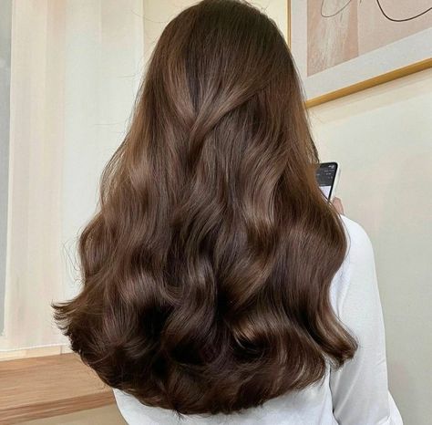 Cocoa Highlights On Brown Hair, Bellami Flex Weft, Medium Brown Hair Aesthetic, Rich Brown Hair Color For Pale Skin, Chestnut Hair Color Dark, Warm Dark Brown Hair, Cocoa Brown Hair, Old Money Brown, Dark Chestnut Brown Hair