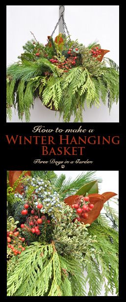 Winter Hanging Baskets, Hanging Baskets Diy, Christmas Hanging Baskets, Creative Gardens, Outdoor Christmas Planters, Holiday Planter, Winter Arrangements, Winter Planter, Christmas Pots