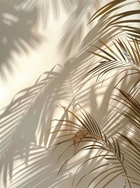 Palm Tree Shadow on Wall stock photography Palm Tree Shadow Photography, Palm Tree Aesthetic Vintage, Neutral Palm Tree Aesthetic, Palm Shadow Aesthetic, Shadow On Wall, Palm Tree Shadow, Palm Tree Aesthetic, Palm Shadow, Shadow Tree