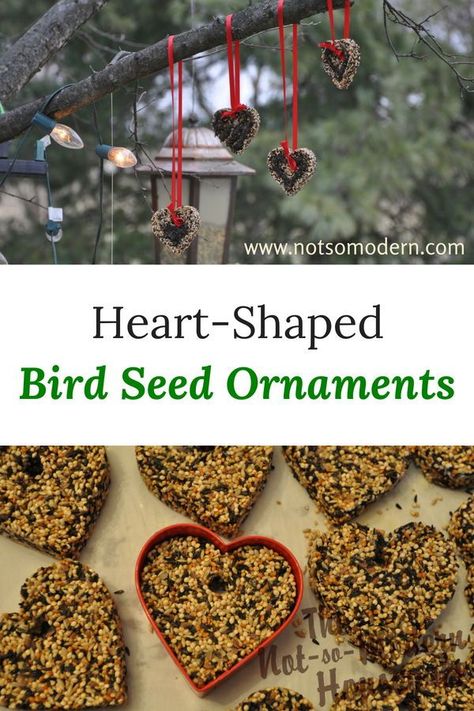 Bird Seed Crafts, Bird Seed Ornaments Recipe, Seed Ornaments, Birdseed Ornaments, Animal Tips, Gardening Club, Homestead Blog, Bird Seed Ornaments, Bird Feeding Station