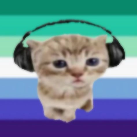 Cat With Headphones, Cat Headphones, Funny Flags, Pfp Cat, Jokes About Men, Spiderman Art Sketch, Trans Flag, Lgbtq Funny, Gay Flag