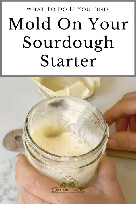 Sourdough Starter From Scratch, Make A Sourdough Starter, Easy Sourdough Bread Recipe, Sourdough Bagels, Dough Starter, Homemade Sauerkraut, Holiday Bread, Bread Starter, Sourdough Baking