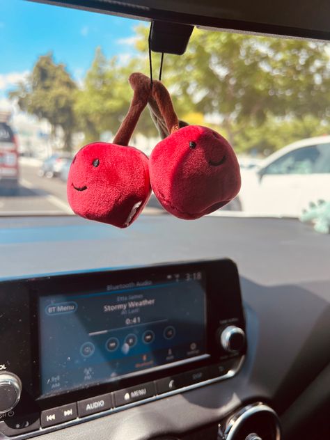 Cherry Jelly Cat, Cherry Jellycat, Kasandra Core, Jellycat Plush, Jelly Cat, Apple Jelly, Car Deco, Cool Car Accessories, Riso Print