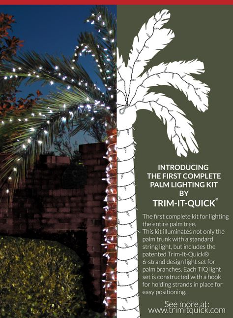 Palm tree lighting kits! Buy direct: http://shop.trimitquick.com/ Palm Tree Christmas Lights Outdoor, Christmas Lights Palm Tree Outdoor, Christmas Lights For Palm Trees, Christmas Palm Tree Decoration, Christmas Lights On Palm Trees, Palm Tree Lights Outdoor, Palm Tree Lighting, Palm Tree Christmas Lights, Christmas Jungle