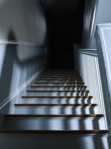 Verity Aesthetic, Abandoned Apartment Aesthetic, Creepy Stairs, Apartment Abandoned, Head Scratcher, Library Abandoned, Freida Mcfadden, Spook Houses, Abandoned Staircase