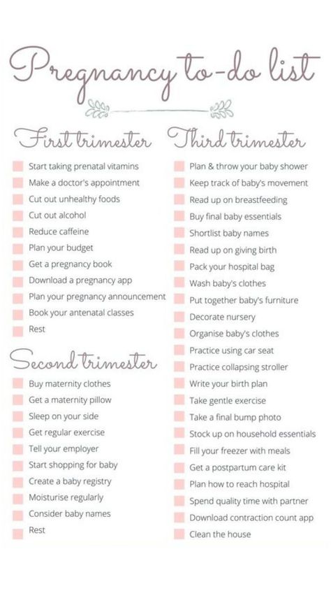 What To Do When Pregnant Timeline, Pregnancy Books Journal, Baby To Do List Pregnancy, When To Announce Pregnancy Timeline, Pregnancy Planning Timeline, Pregnancy Timeline To Do List, Pregnant To Do List, Pregnancy Hacks Tips, Pregnancy To Do List Month By Month