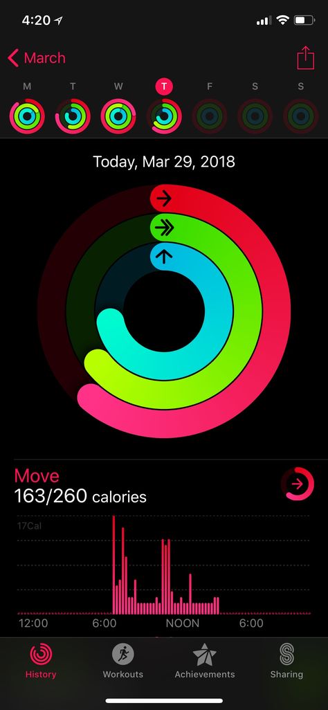 Health App (Dark UI Apple) - Workout Dash (via day) - History Screen 2 UX/UI Apple Watch Activity, Apple Fitness, Apple Watch Fashion, Apple Health, Month Workout, Share Icon, Health App, Activity Tracker, Workout Apps