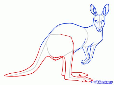 X Kangaroo Drawing, Kangaroo Art, Simple Drawings, Desert Animals, Drawing Guide, Step Drawing, Guided Drawing, Animal Sketches, April 12