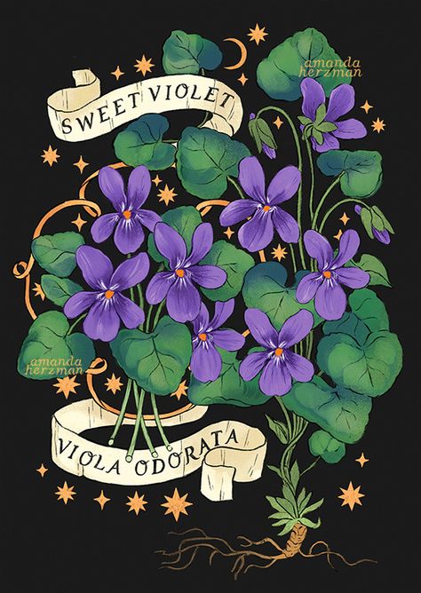 Fungi Illustration, Jewelry Store Design, Motifs Textiles, Illustration Blume, Sweet Violets, Nature Posters, Plant Drawing, Plant Illustration, Plant Art