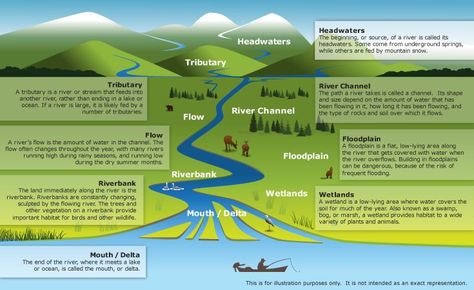 Fluvial Depositional Landforms | Types of Deltas | PMF IAS Delta Landform, Delta River, Geography Themes, Fantasy Terrain, River Mouth, Geography For Kids, Geography Lessons, River Delta, Water Bodies