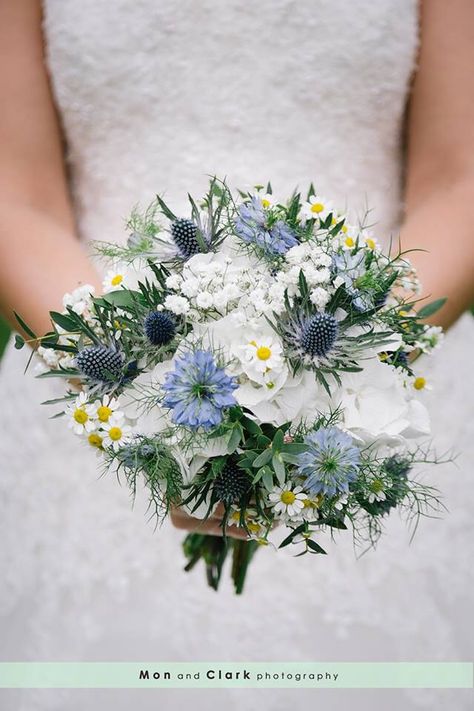 Bouquet of white hydrangea, camomile, thistle and blue! Bouquets With Thistle, Hydrangea And Thistle Bouquet, Thistle Bridal Bouquet, Bouquet With Thistle, Blue Thistle Boutonniere, Blue Thistle Bouquet, Wedding Bouquet Hydrangea, Camomile Bouquet, Thistle Wedding Flowers