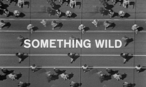 Something Wild Blu-ray - Carroll Baker Title Designs, Super Graphics, Carroll Baker, Collage Video, Stefan Sagmeister, Something Wild, Typographic Art, Adobe Illustrator Tutorials, Title Sequence