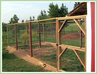 This is the chicken yard I want to build. Build A Gate, Chicken Yard, Cheap Chicken Coops, Chicken Fence, Fenced Vegetable Garden, Best Egg Laying Chickens, Yard Ideas Cheap, Portable Chicken Coop, Raised Vegetable Gardens