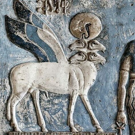 Relief depicting the fertility god Banebdjedet, lord of Mendes, in the form of a four-headed ram. Temple of Hathor at Dendera. Corpus Hermeticum, Temple Of Hathor, Egyptian Drawings, Ancient Egypt Gods, Egypt Museum, Ancient Egyptian Artifacts, Egyptian Artifacts, Ancient Egypt Art, Egypt Art