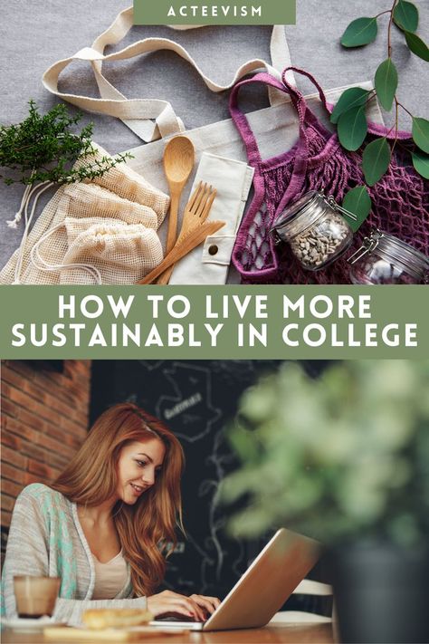 Ecology Student Aesthetic, Ways To Focus, Be More Sustainable, College Tips, Lifestyle Aesthetic, College Hacks, Eco Friendly Living, Lifestyle Tips, Sustainable Lifestyle