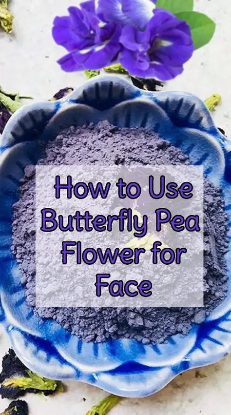 How to Use Butterfly Pea Flower for Face Butterfly Pea Flower Uses, Aparajita Flower, Flower Skincare, Face Butterfly, Jojoba Oil Skin, Lemon On Face, How To Make Butterfly, Flower Skin, Cucumber For Face