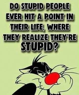 Looney Tunes Funny, Hilarious Images, Funny Mean Quotes, Mean Humor, Funny Day Quotes, Elmer Fudd, Funny T Shirt Sayings, Dope Quotes, Funny Quotes Sarcasm