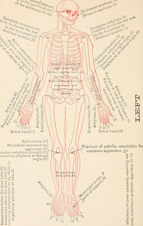 All sizes | Image from page 429 of "The medical examination for life insurance and its associated clinical methods : with chapters on the insurance of substandard lives and accident insurance" (1905) | Flickr - Photo Sharing! Medical Examiner, Forensic Psychiatrist, Medical Science Liaison, Forensic Pathology Career, Forensic Medical Examiner, Clinical Judgment Nursing, Accident Insurance, Life After College, Medical Examination