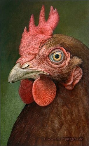 Aesthetic Chicken, Chicken Aesthetic, Chicken Pictures, Chicken Bird, Rooster Painting, Beautiful Chickens, Chicken Painting, Rooster Art, Farm Art