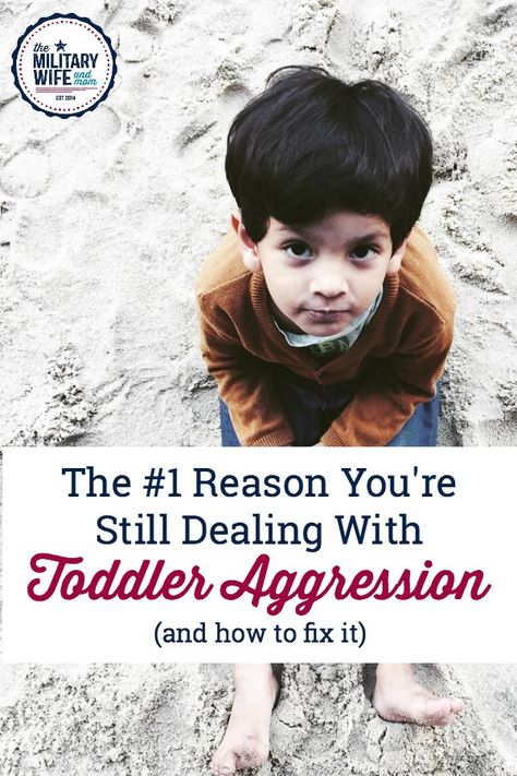 Toddler Anger, Aggressive Toddler, Hitting Toddler, Playful Parenting, Toddler Tantrums, Child Behavior, Family Involvement, Angry Child, Toddler Biting