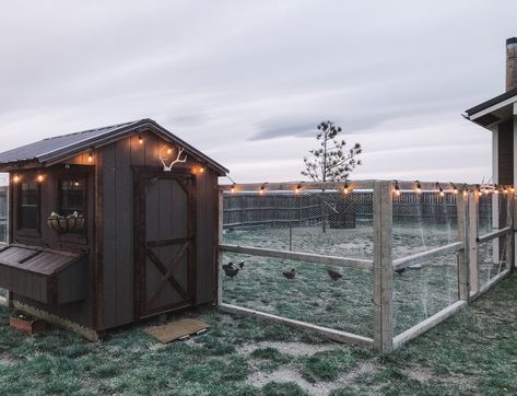 Farm Backyard Ideas, Boujee Chicken Coop, Big Chicken Coop Ideas, Cute Chicken Coops, Fancy Girls, Chicken Coop Garden, Backyard Chicken Coop Plans, Diy Chicken Coop Plans, Chicken Coop Run