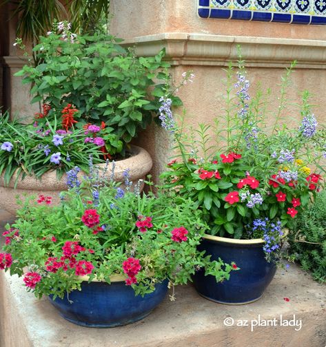 Hummingbird Garden Flowers, Gemüseanbau In Kübeln, Container Herb Garden, Hummingbird Plants, Container Planting, Hummingbird Flowers, Hummingbird Garden, Desert Garden, Container Gardening Vegetables