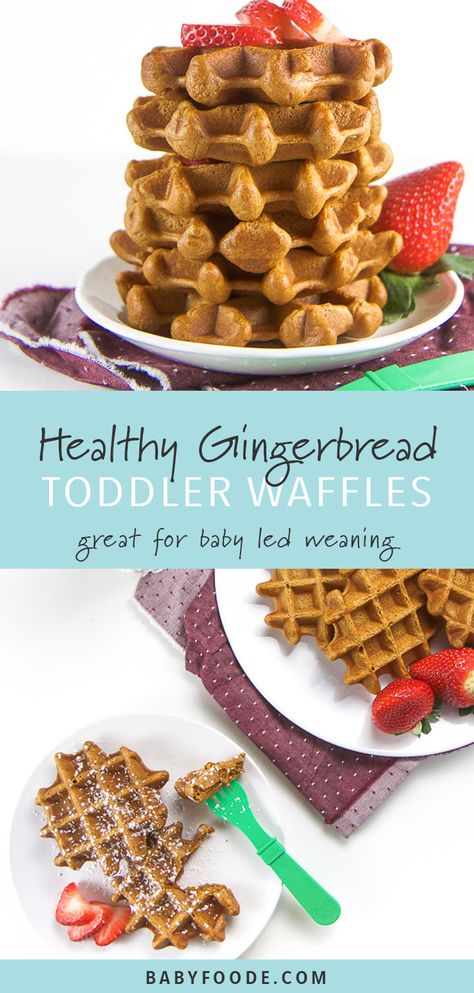 These healthy gingerbread waffles are the perfect way to introduce the rich, comforting and festive flavor of gingerbread to baby and toddler. Dairy free, sugar free, and gluten free-friendly, these healthy waffles are the perfect seasonal breakfast to share with the entire family. Kid, toddler, and baby led weaning friendly too! #gingerbread #breakfast Lunchbox Waffles, Waffles For Baby, Gingerbread Breakfast, Toddler Breakfast Recipes, Gingerbread Waffles, Dairy Free Baby, Christmas Morning Brunch, Healthy Gingerbread, Kids Treats