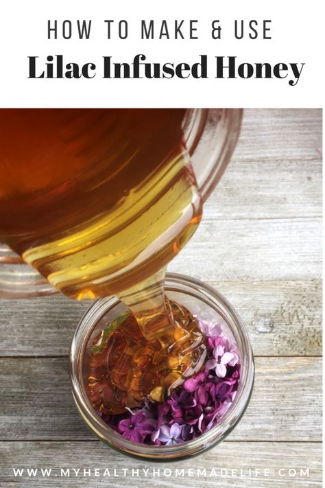 How to Make and Use Lilac Infused Honey Spread | Herbal DIY | Herbal Home Remedies | Healthy Living Recipes | Plant Based Diet | My Healthy Homemade Life #lilacs #honey #herbalremedies Lilac Honey, Herb Infused Honey, Herbal Diy, Recipes Plant Based, Farm Dream, Infused Vinegars, Springtime Recipes, Infused Honey, Bee Stuff