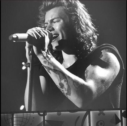 Embedded image Harry Styles Arms, Harry Styles Singing, Beautiful Green Eyes, Harry Styles Hot, Hollywood Undead, Arm Muscles, 1d And 5sos, Love Me Quotes, Harry Edward Styles