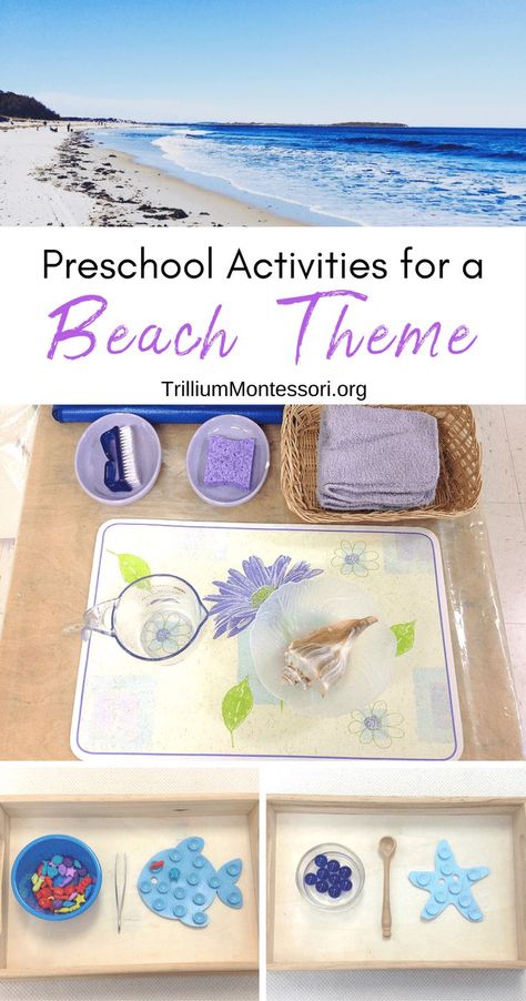 Simple preschool activities for a beach theme Music Activities Preschool, Beach Theme Preschool, Montessori Shelves, Ocean Theme Preschool, Beach Themed Crafts, Theme Preschool, Practical Life Activities, Beach School, Montessori Practical Life