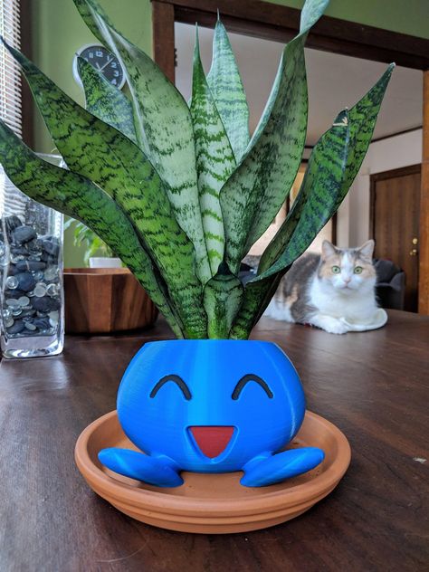 Found the perfect plant for the Oddish planter I got for Christmas Pokemon Plant Pot, Oddish Planter, Pokemon Garden, Pokemon Planter, Cute Planters, Nerd Decor, Pokemon Room, Plant Pot Design, Pokemon Diy