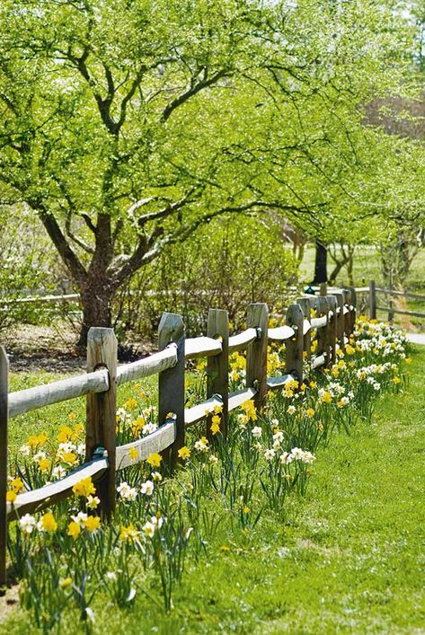 Cerca Natural, Country Fences, Country Garden Decor, Rustic Fence, Fence Landscaping, Wooden Fence, Garden Fencing, Farm Gardens, Garden Cottage