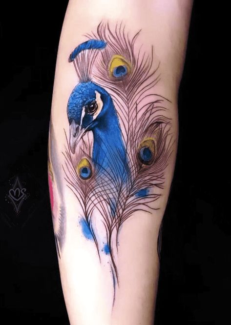 Peacock Tattoo Design Images (Peacock Ink Design Ideas) Peacock Tattoo For Man, Feminine Peacock Tattoo, Unique Peacock Tattoo, Peacock Feather Hand Tattoo, Small Peacock Tattoo For Women, Peacock Tattoo Sleeve For Women, Realistic Peacock Tattoo, Peacock Tattoo Designs For Women, Peacock Tattoo For Women