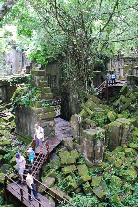 Ancient Jungle Ruins, Temple In Jungle, Jungle Acnh, Disney Adventureland, Beng Mealea, Medusa Story, Jungle Ruins, Ta Prohm Temple, Lost Temple