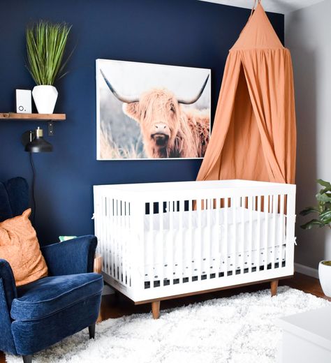 Cow Nursery Girl, Baby Nursery Boy, Highland Cow Nursery, Boys Room Ideas, Highland Cow Baby, Cow Nursery, Rustic Nursery Decor, Cow Boys, Nursery Boy