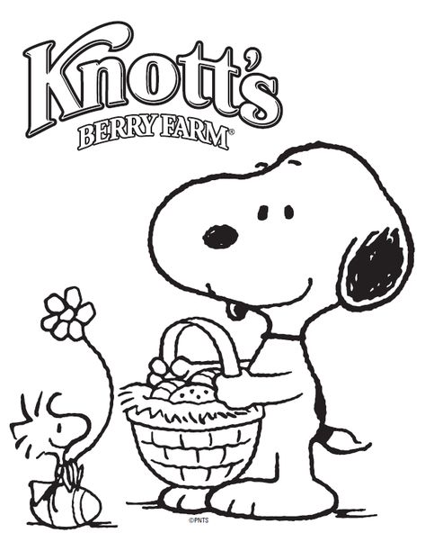 Snoopy and Woodstock Coloring Sheet Peanuts Coloring Pages, Snoopy Coloring Pages, Easter Coloring Pages Printable, Snoopy Easter, Easter Color, Farm Coloring Pages, Snoopy Collection, Easter Egg Coloring Pages, Thanksgiving Happy