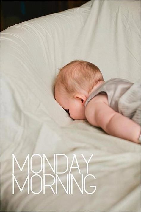 Monday Morning Monday Sucks, Nostalgic Photos, I Hate Mondays, Monday Memes, Monday Humor, Weekday Quotes, Happy Sunday Quotes, Funny Good Morning Quotes, Morning Quotes Funny