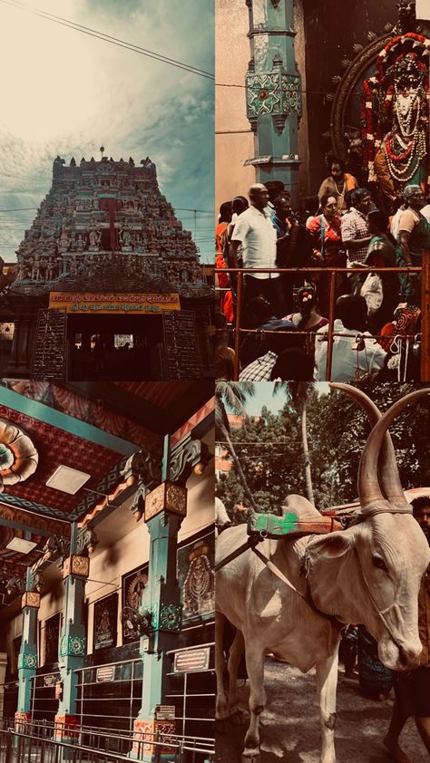 Tamil culture | desi academia | dark Tamil Culture Photography, South Aesthetic, Tamil Ponnu, Tamil Aesthetic, Temple Aesthetic, Tamil Culture, Indian Fast Food, South Indian Temple, South Asian Aesthetic