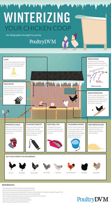 Quail Garden, Homestead Design, Backyard Homestead, Chicken Roost, Raising Chicken, Chicken Barn, Chicken Coup, Diy Chicken Coop Plans, Chicken Farming