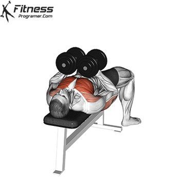 Bench And Dumbells, Dumbell Press Chest, Dumbbell Press Chest, Chest With Dumbbells, Chest Press Dumbell, Dumbell Press, Dumbbell Chest Workout, Chest Exercise, Tricep Exercises