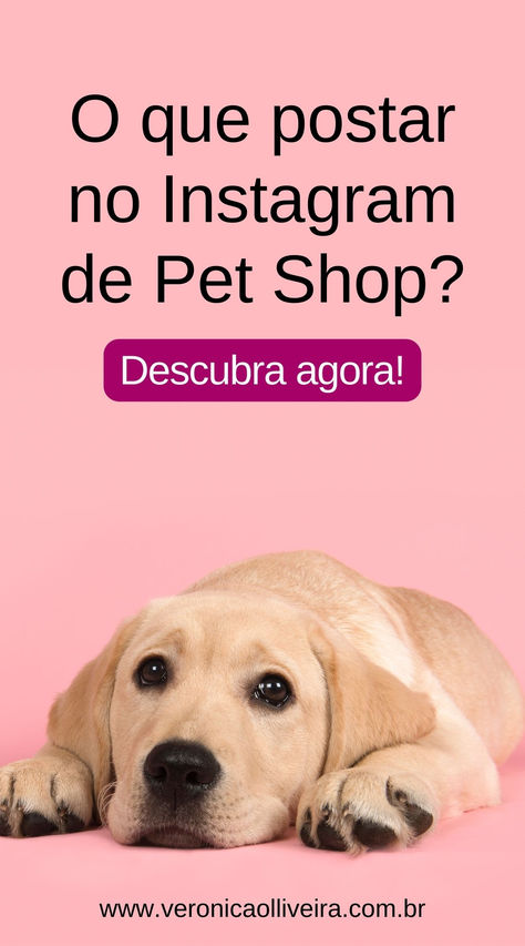 O que postar no Instagram de Pet Shop? Descubra agora! Pet Shop, No Instagram, Layout, Pet, Collage, Pins, Instagram