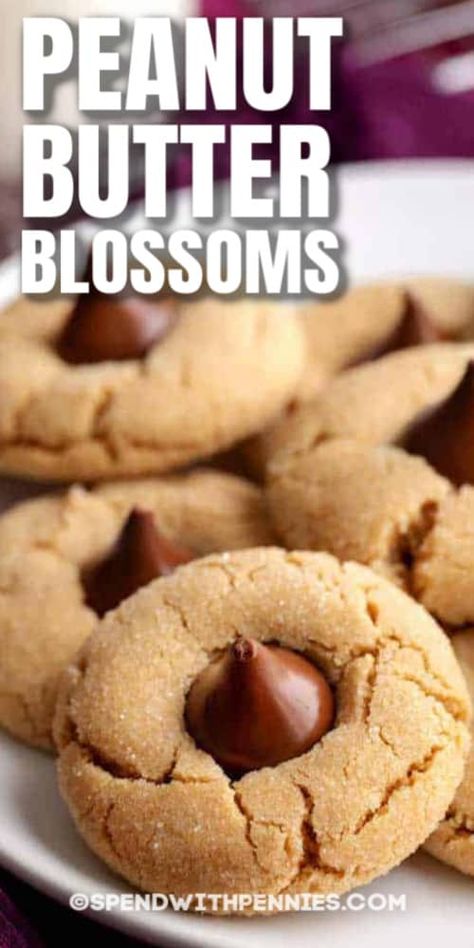 Peanut Blossom Cookies, Peanut Butter Blossoms Recipe, Peanut Butter Blossom, Butter Blossoms, Soft Peanut Butter Cookies, Peanut Butter Blossom Cookies, Classic Cookies Recipes, Homemade Snickers, Chewy Peanut Butter Cookies