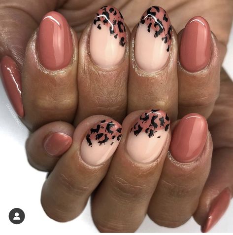 Leopard Print Biab Nails, Simple Cheetah Nails, Cheetah Print Nail Designs, Oct Nails, Cheetah Nail Art, Brown Nail Art, Cheetah Print Nails, Nail Piercing, Cheetah Nails