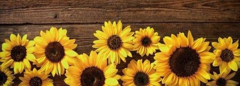 Sunflower Facebook Cover, Cute Cover Photo, Best Fb Cover Photos, Fb Wallpaper, Facebook Background, Cute Cover, Facebook Cover Design, Fb Cover Photos, Fb Cover