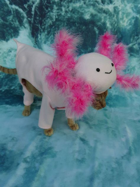 Axolotl | Halloween Love Axolotl Costume, Halloween Love, Google Search, Halloween