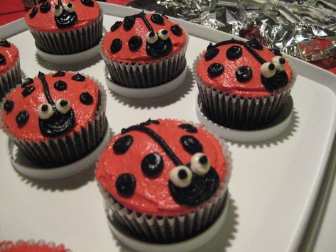 Bug Cupcakes, Kids Birthday Cupcakes, Ladybug Cupcakes, Rose Cupcake, Ladybug Cake, Cupcake Pictures, Pull Apart Cupcakes, Princess Cupcakes, Creative Cupcakes