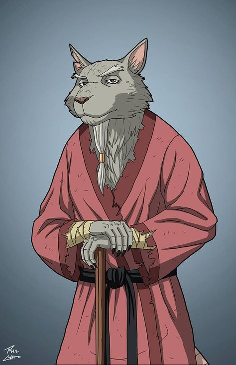 Tmnt Splinter Fanart, Splinter Ninja Turtles, Splinter Tmnt, Ninja Turtles Splinter, Tmnt Splinter, Ninja Armor, Mestre Splinter, Earth 27, Master Splinter