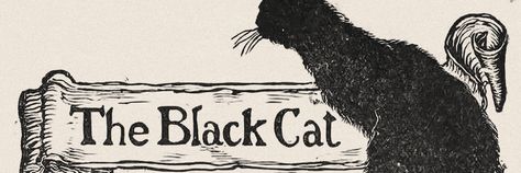 Black Cat Header, Note Headers, Black Cat Banner, Black Twitter Header, Black Cat Aesthetic, Twitter Banner, Twitter Headers, Phone Stuff, Cat Aesthetic