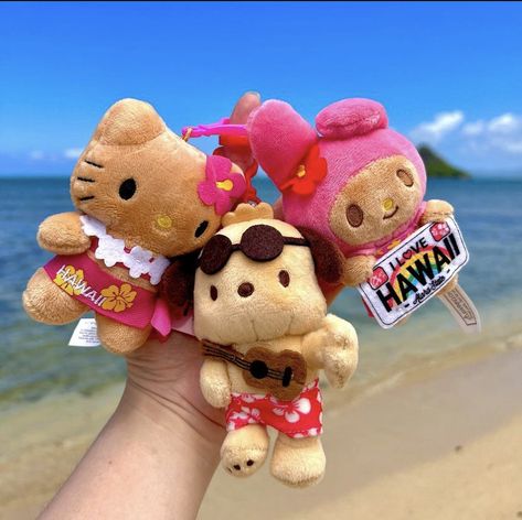 Tan Sanrio, Hawaii Sanrio, Sanrio Plushies, Kawaii Pfp, Coconut Dream, Hello Kitty Rooms, Charmmy Kitty, Hello Kitty Crafts, Hello Kitty Cartoon